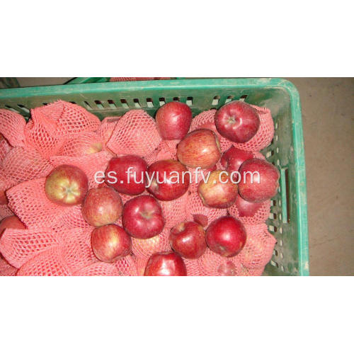 Hotsale manzana estrella roja dulce y crujiente